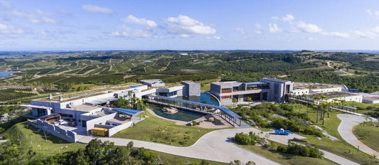 Bodega Garzón
