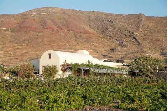 Domaine Sigalas