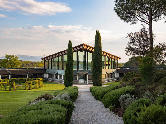 Tenuta dell’Ornellaia