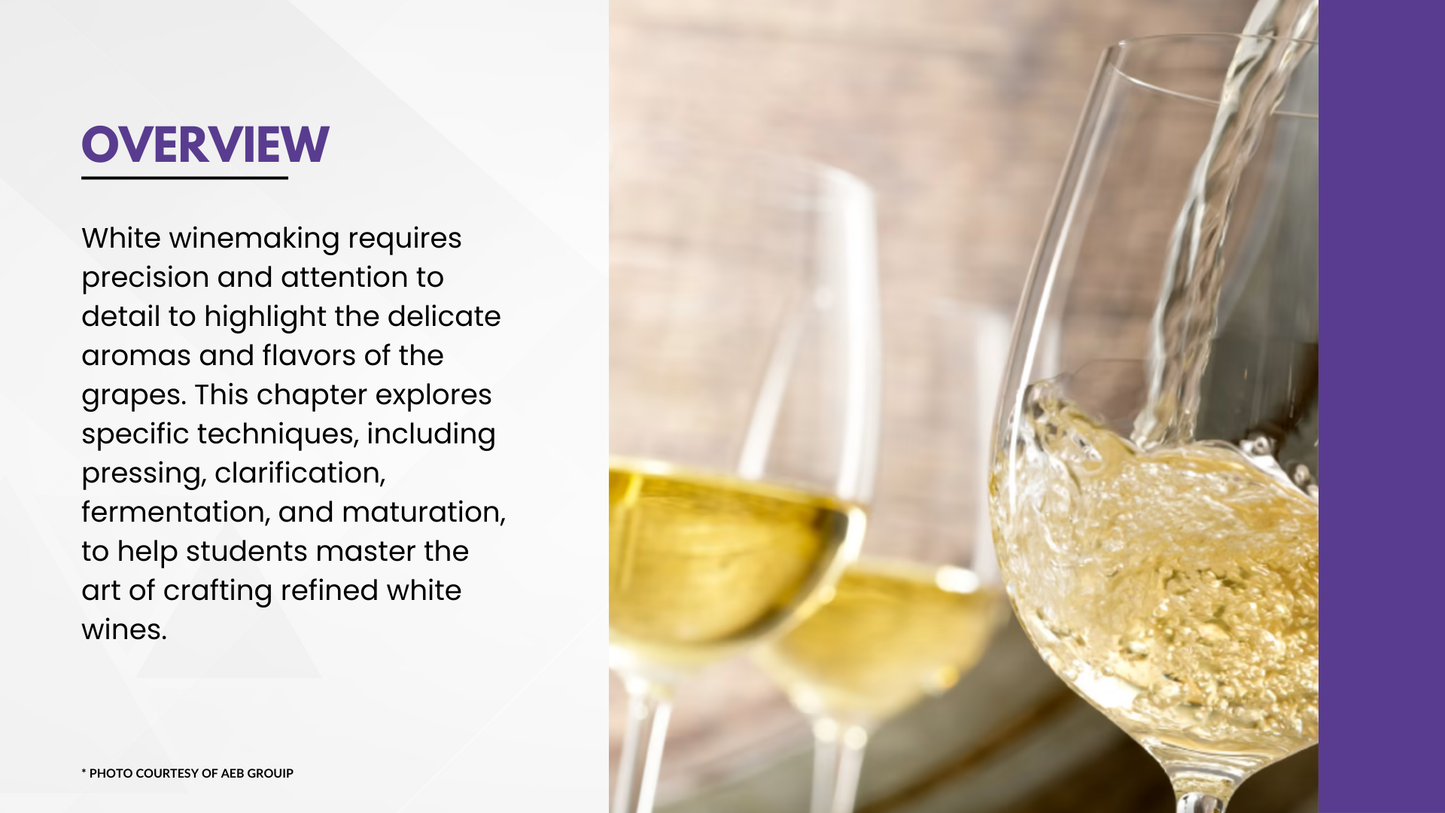 Chapter 4.16 - Refining Elegance: Specific Techniques in White Winemaking