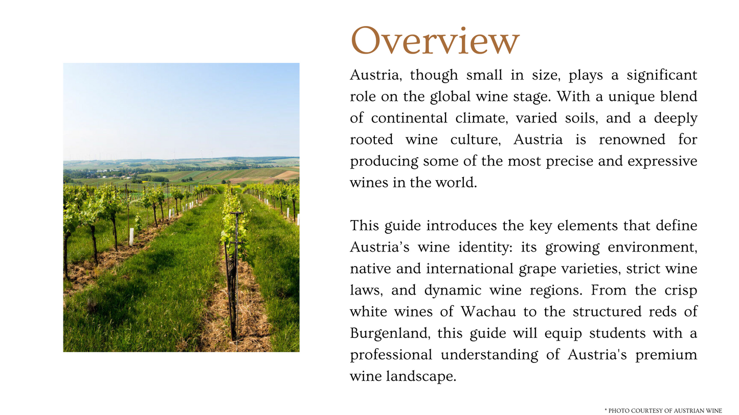 Chapter 4.29 - Austria Uncorked: Precision, Purity, and Terroir