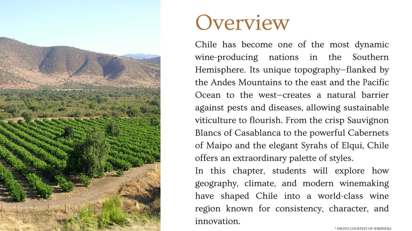 Chapter 4.35 - Chile: Crafting Purity and Precision from the Andes to the Ocean