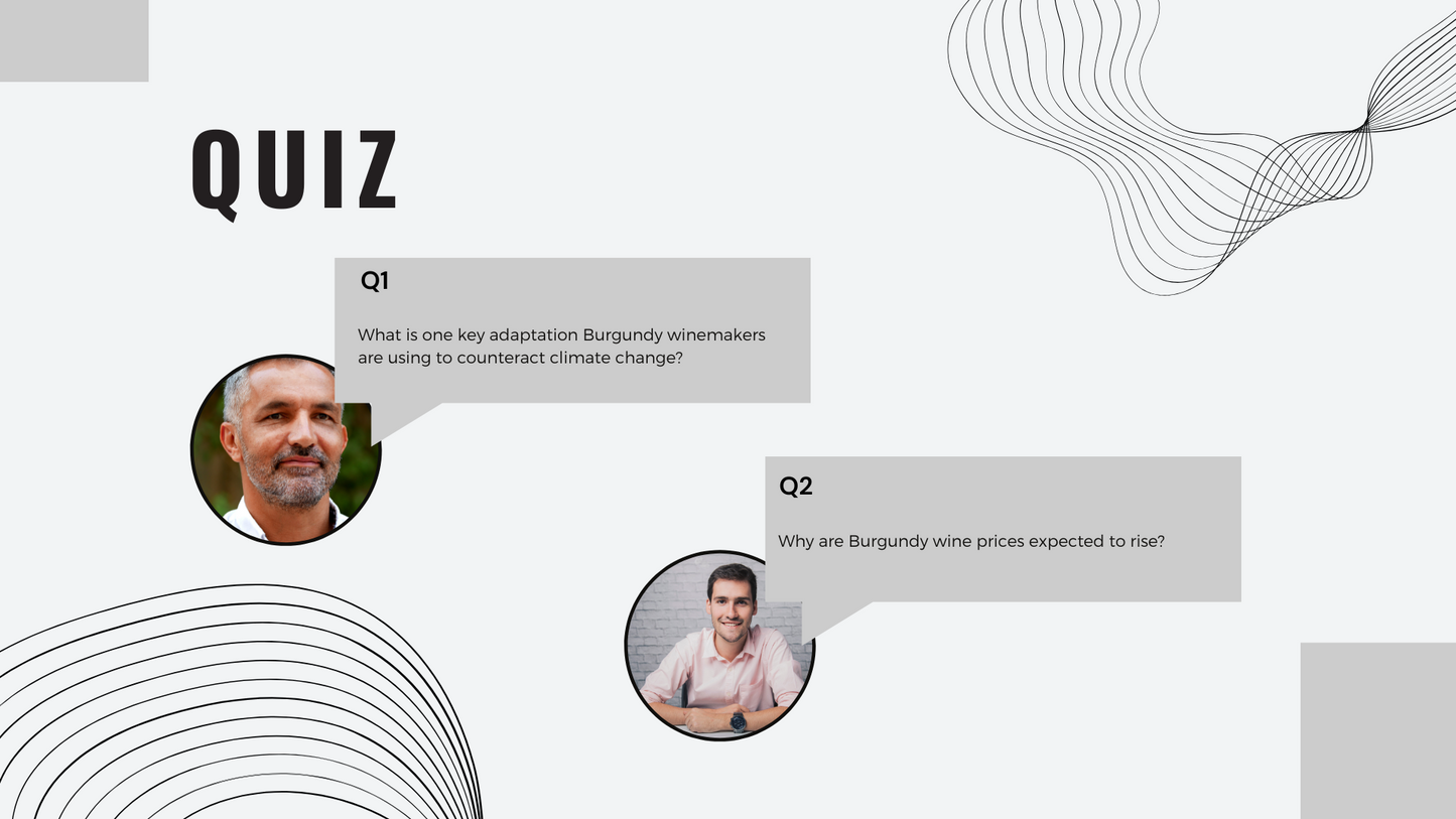 Knowledge Base - The Evolution of Burgundy Wine: Innovation, Trends, and Future Prospects