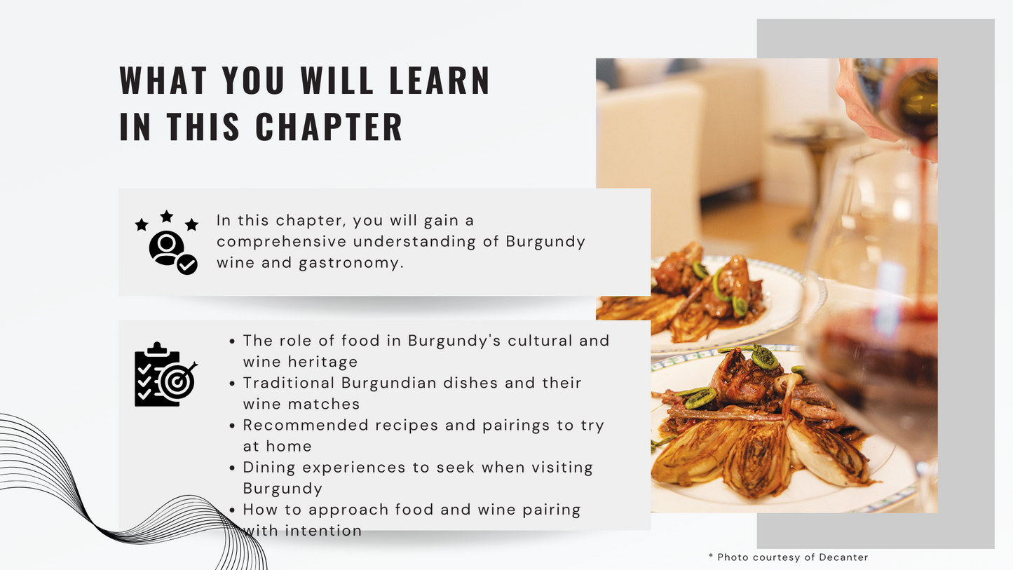 Knowledge Base - Savoring Burgundy: Where Wine Meets Gastronomy