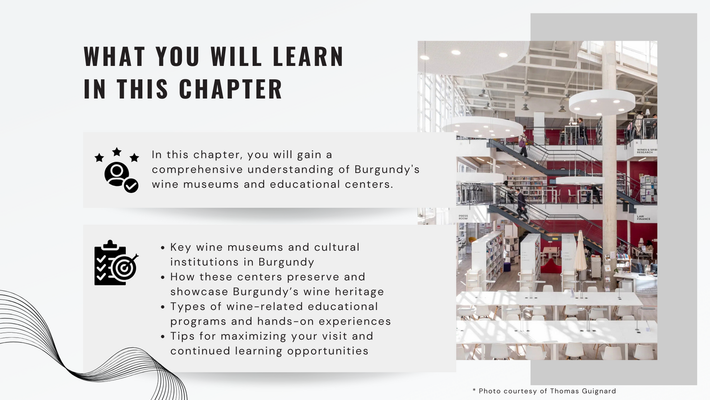 Knowledge Base - Burgundy's Wine Museums and Learning Hubs: Exploring Culture Through Education