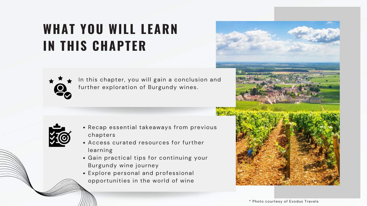 Knowledge Base - Burgundy Uncorked: A Final Chapter and Path Forward