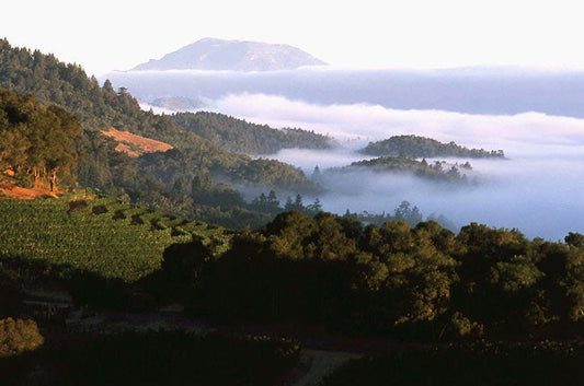 Harlan Estate