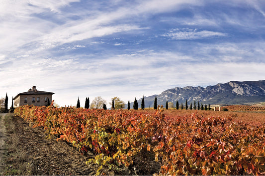 La Rioja Alta