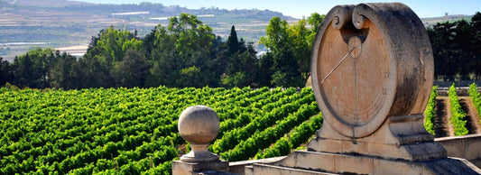 Meridiana Wine Estate