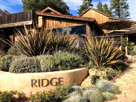 Ridge Vineyards