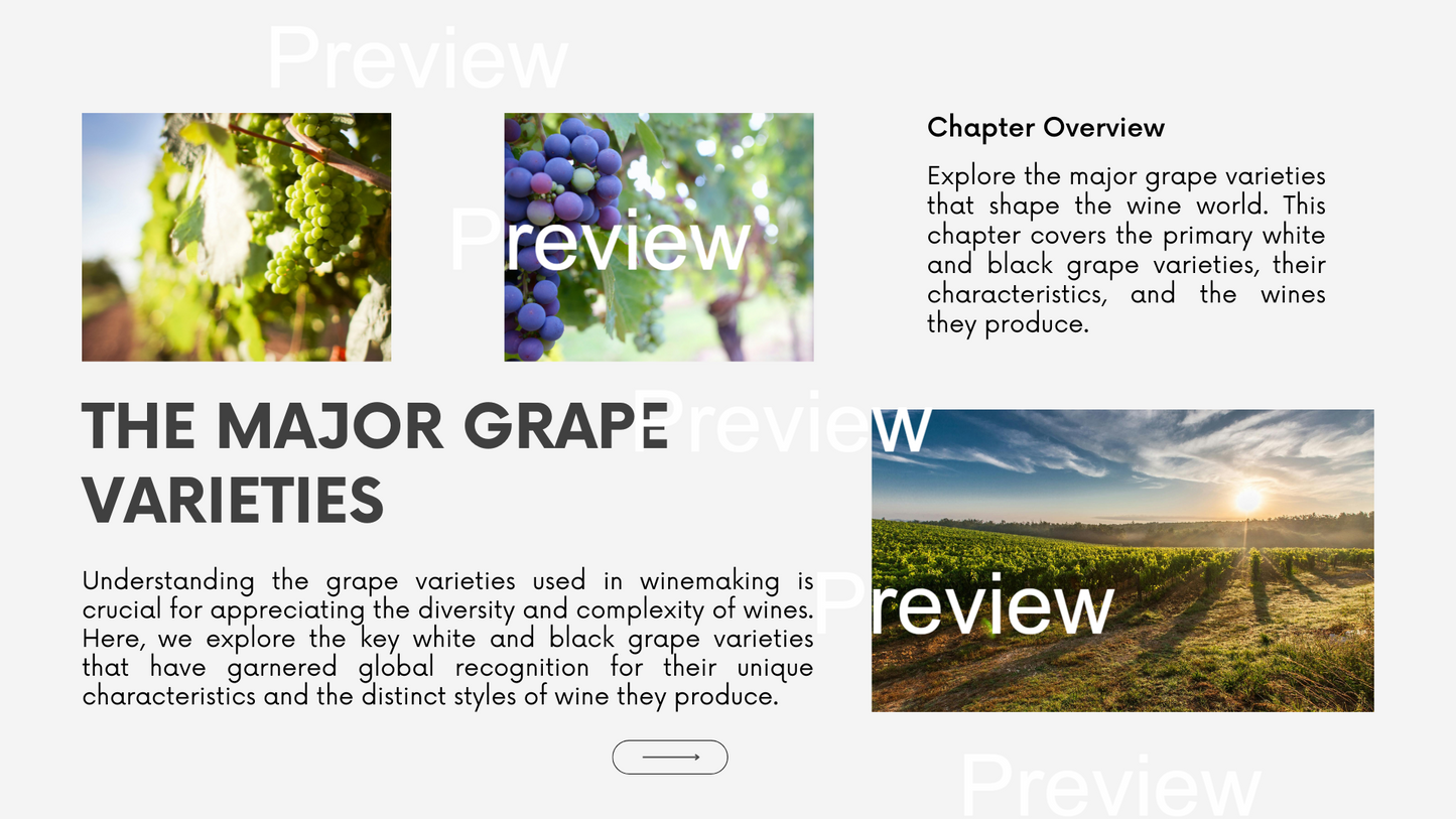 Chapter 1.05 - Understanding the Major Grape Varieties