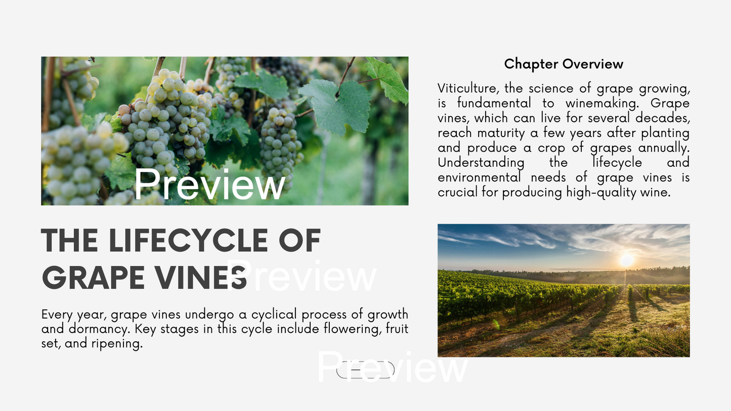 Chapter 1.02 - Viticulture: The Art of Growing Grapes