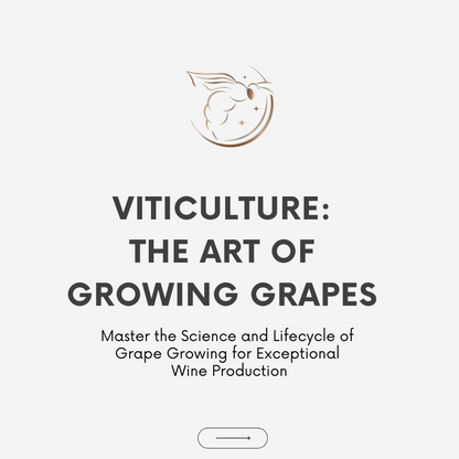 Chapter 1.02 - Viticulture: The Art of Growing Grapes