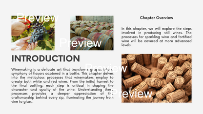 Chapter 1.03 - Winemaking Process