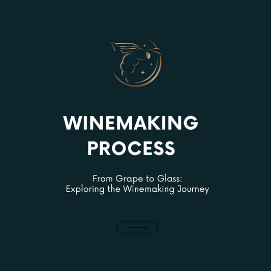 Chapter 1.03 - Winemaking Process