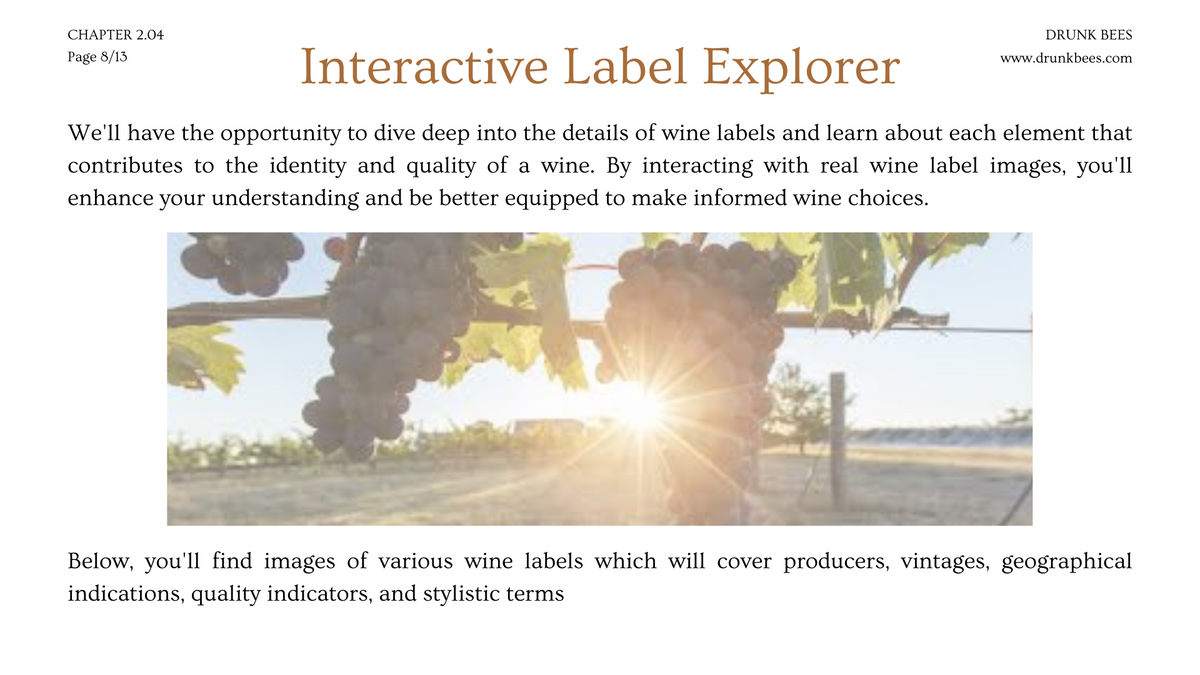 Intermediate Labels Deciphering Wine Labels: A Guide - Intermediate Learning Guide – Drunk Bees