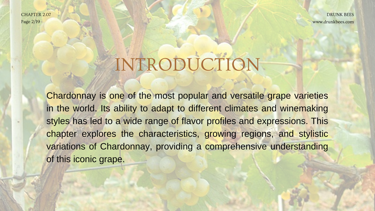 Chapter 2.07 - Chardonnay: Understanding the World's Most Versatile Grape Variety