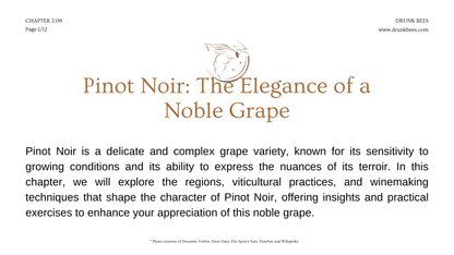 Chapter 2.08 - Pinot Noir: The Elegance of a Noble Grape