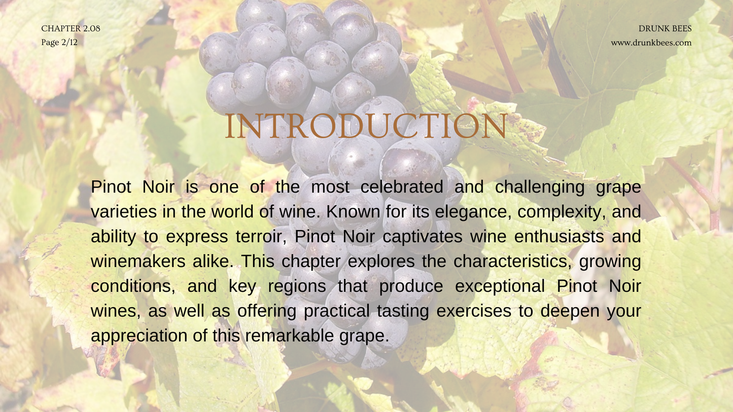 Chapter 2.08 - Pinot Noir: The Elegance of a Noble Grape