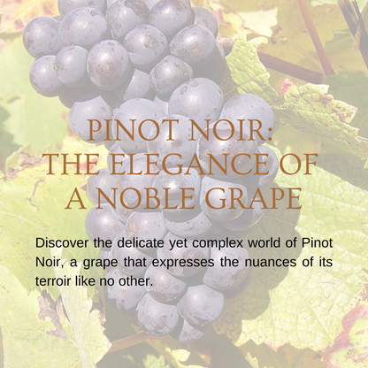 Chapter 2.08 - Pinot Noir: The Elegance of a Noble Grape