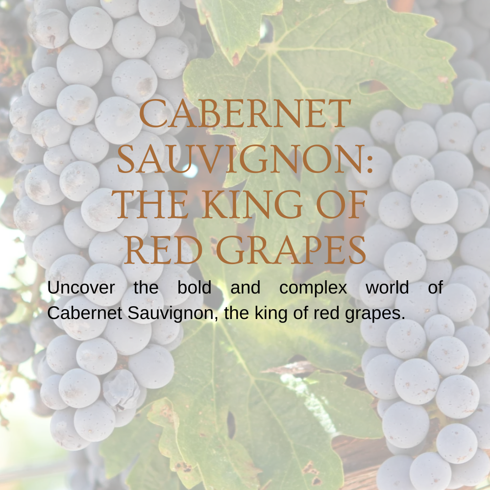 Chapter 2.09 - Cabernet Sauvignon: The King of Red Grapes