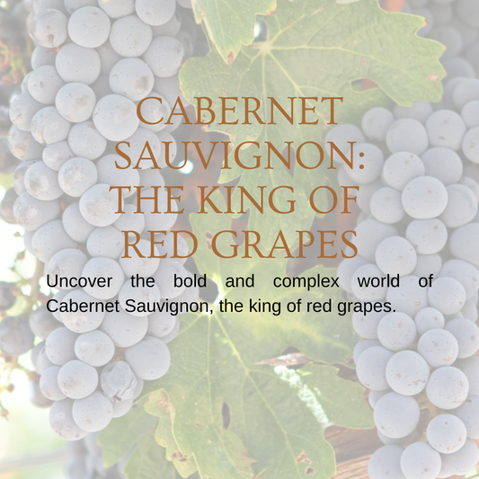 Chapter 2.09 - Cabernet Sauvignon: The King of Red Grapes