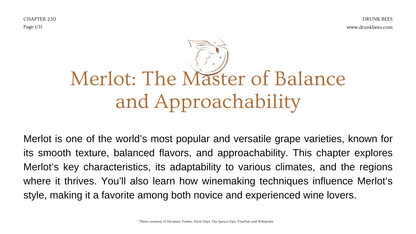 Chapter 2.10 - Merlot: The Master of Balance and Approachability