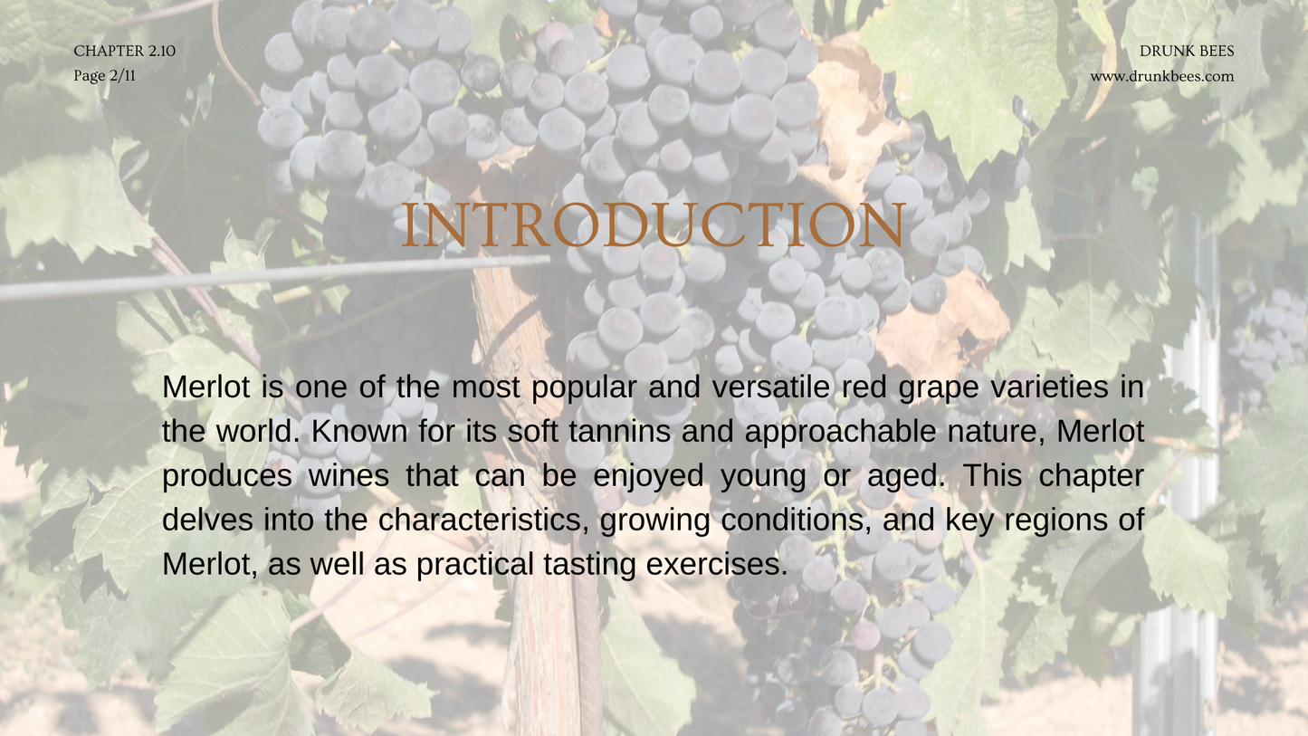 Chapter 2.10 - Merlot: The Master of Balance and Approachability