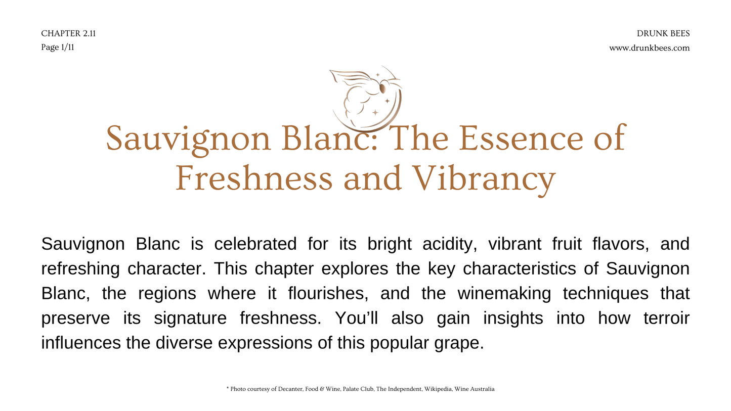 Chapter 2.11 - Sauvignon Blanc: The Essence of Freshness and Vibrancy