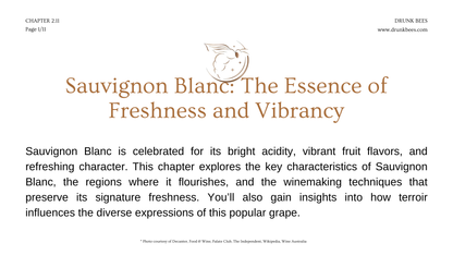 Chapter 2.11 - Sauvignon Blanc: The Essence of Freshness and Vibrancy