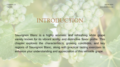 Chapter 2.11 - Sauvignon Blanc: The Essence of Freshness and Vibrancy