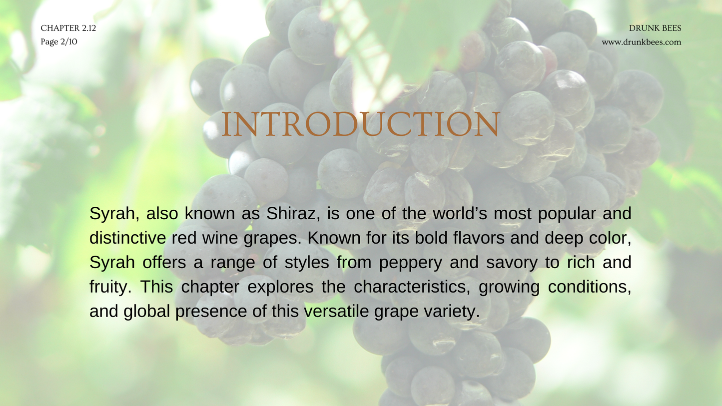 Chapter 2.12 - Syrah/Shiraz: The Power and Spice of a Bold Grape