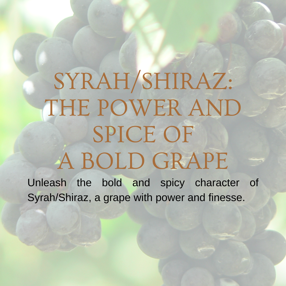 Chapter 2.12 - Syrah/Shiraz: The Power and Spice of a Bold Grape