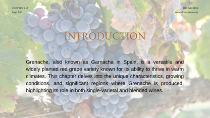 Chapter 2.13 - Grenache: The Warmth and Versatility of a Sun-Loving Grape