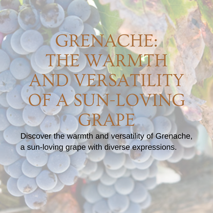 Chapter 2.13 - Grenache: The Warmth and Versatility of a Sun-Loving Grape