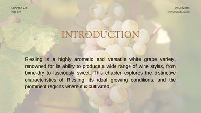 Chapter 2.14 - Riesling: The Elegance and Purity of a Noble Grape