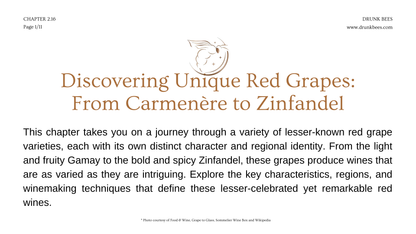 Chapter 2.16 - Discovering Unique Red Grapes: From Carmenère to Zinfandel