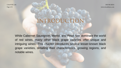 Chapter 2.16 - Discovering Unique Red Grapes: From Carmenère to Zinfandel