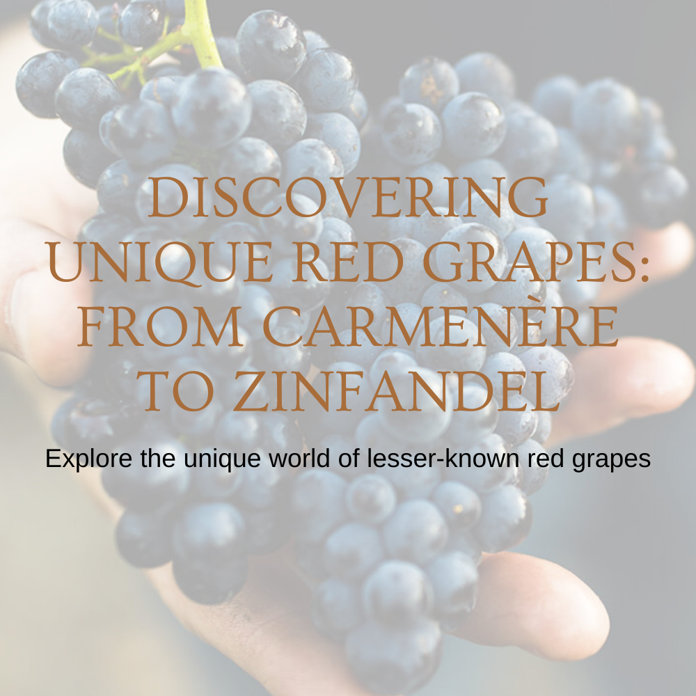 Chapter 2.16 - Discovering Unique Red Grapes: From Carmenère to Zinfandel