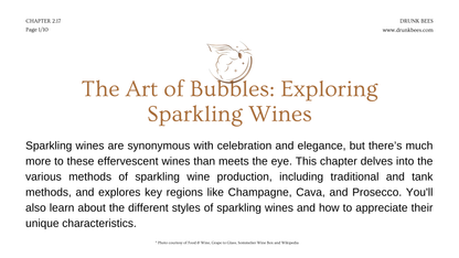 Chapter 2.17 - The Art of Bubbles: Exploring Sparkling Wines