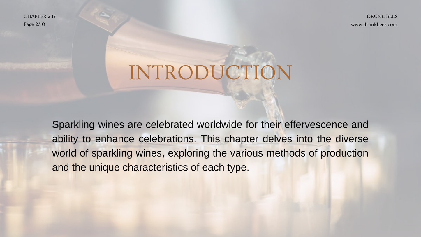 Chapter 2.17 - The Art of Bubbles: Exploring Sparkling Wines