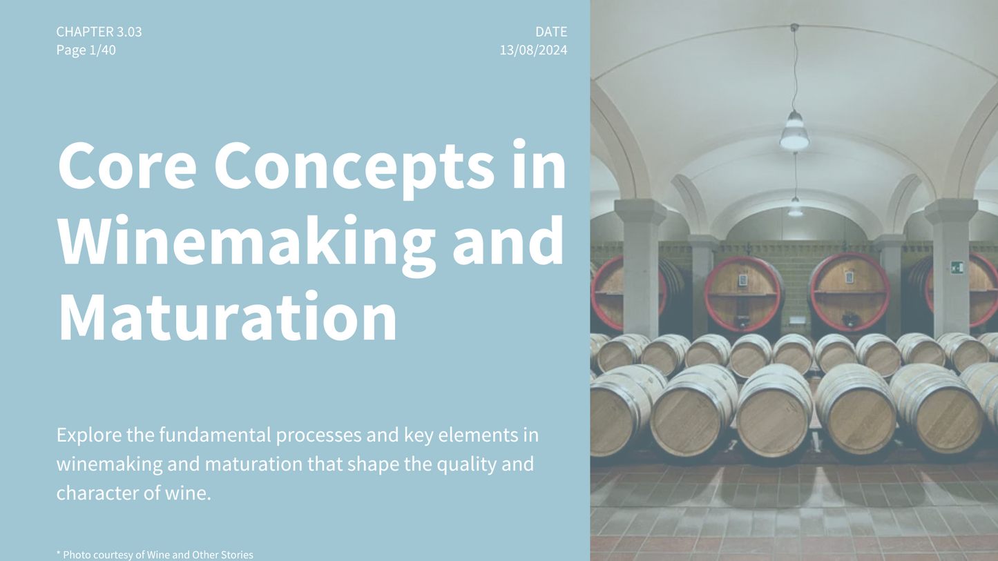 Chapter 3.03 - Core Concepts in Winemaking and Maturation