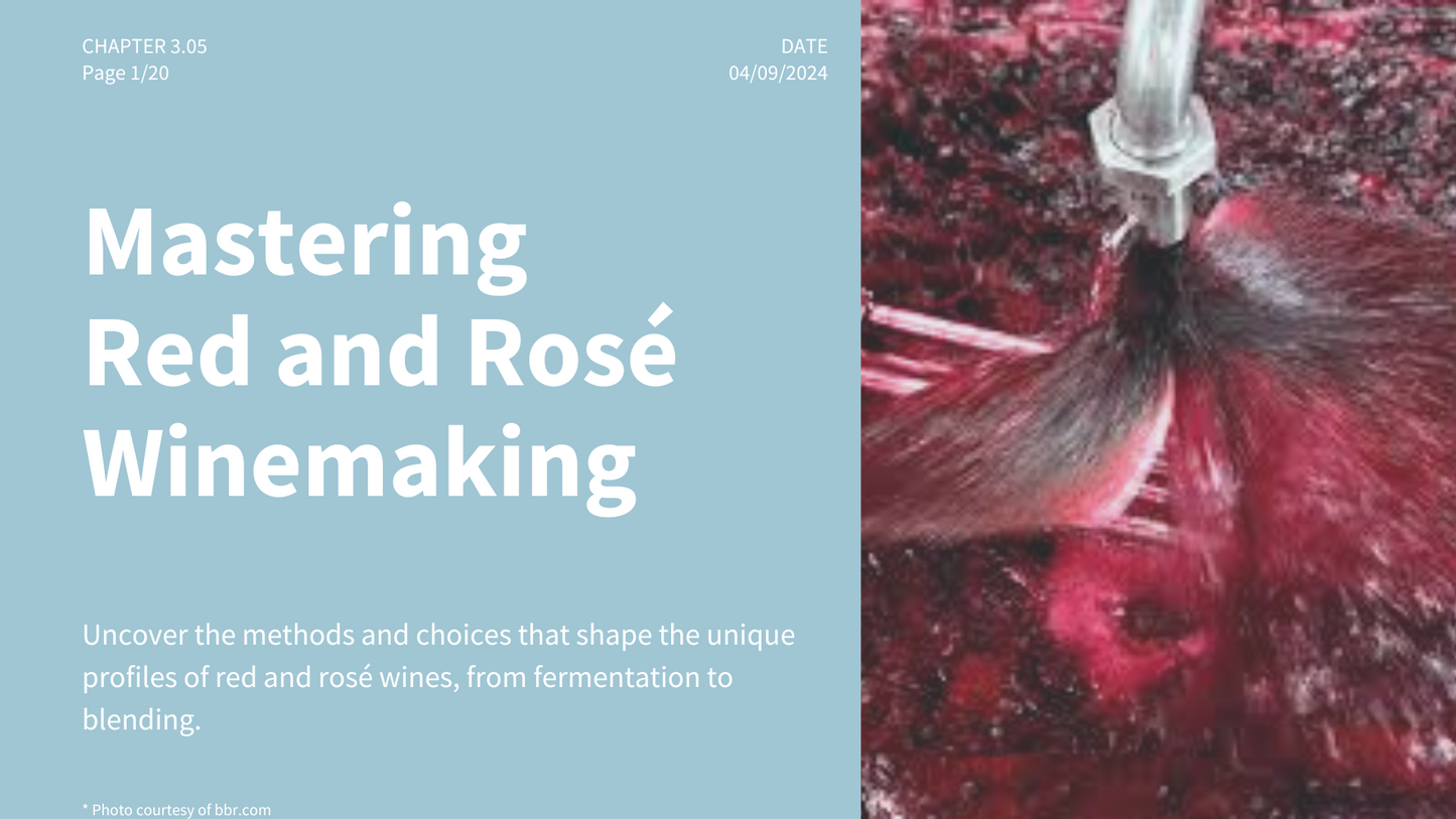 Chapter 3.05 - Mastering Red and Rosé Winemaking