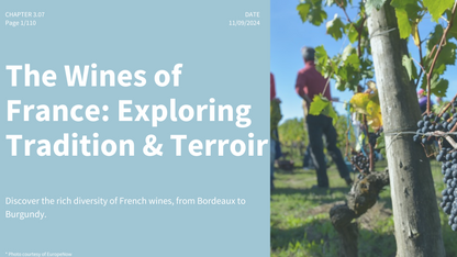 Chapter 3.07 - The Wines of France: Exploring Tradition and Terroir