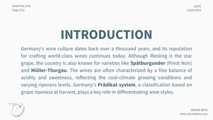 Chapter 3.09 - German Wines: Understanding Precision and Purity