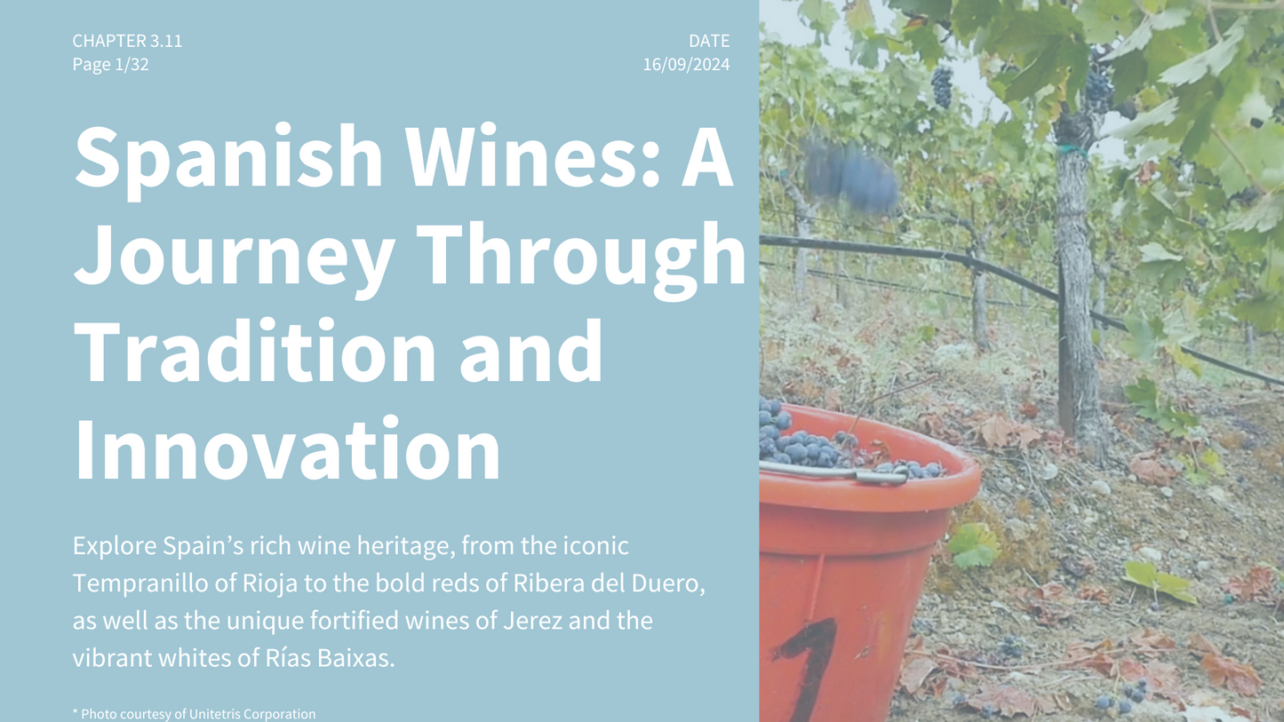 Chapter 3.11 - Spanish Wines: A Journey Through Tradition and Innovation