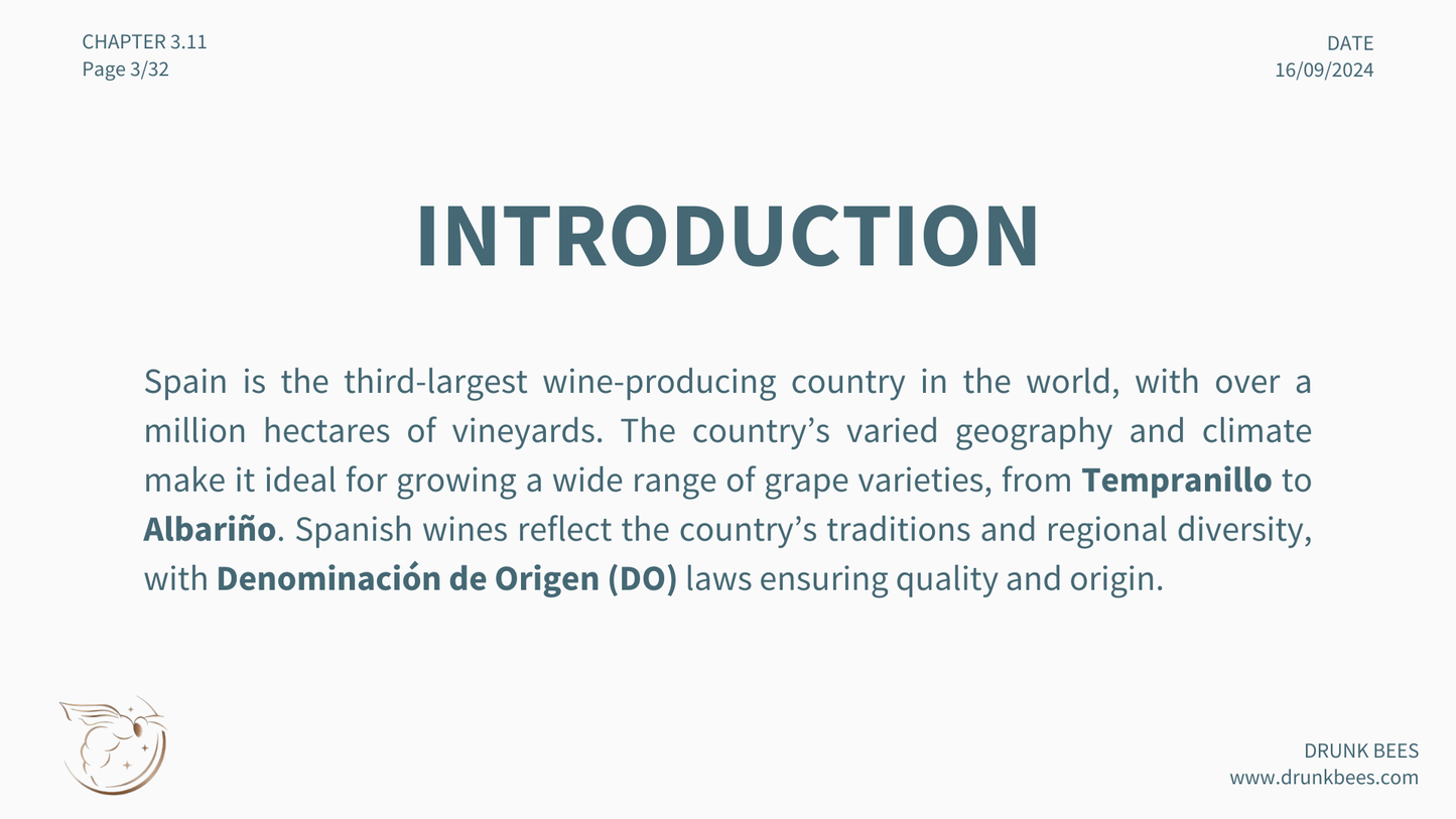 Chapter 3.11 - Spanish Wines: A Journey Through Tradition and Innovation