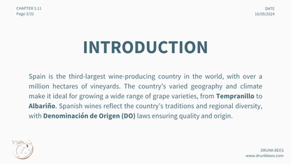 Chapter 3.11 - Spanish Wines: A Journey Through Tradition and Innovation