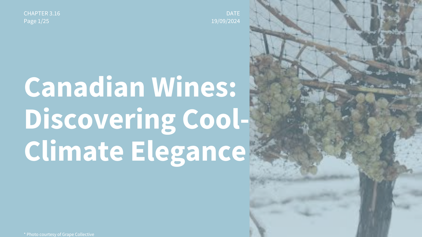 Chapter 3.16 - Canadian Wines: Discovering Cool-Climate Elegance