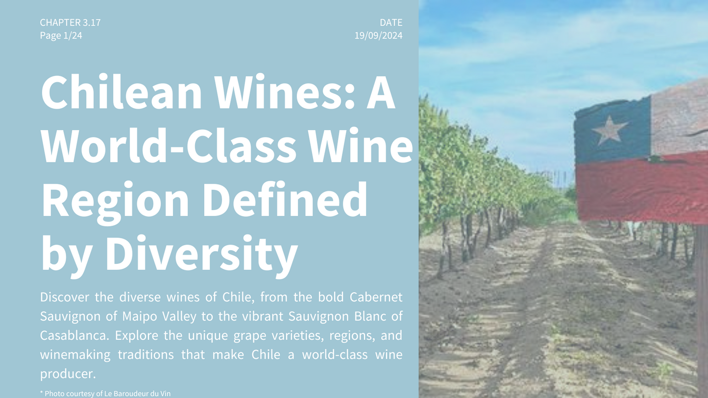 Chapter 3.17 - Chilean Wines: A World-Class Wine Region Defined by Diversity